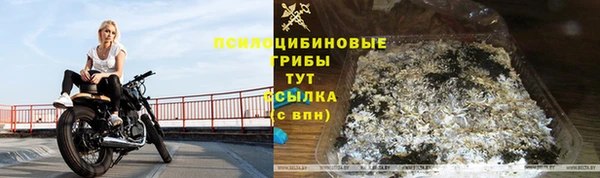 трава Алзамай