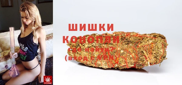 apvp Осинники