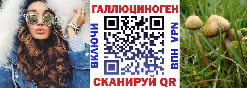 OMG как зайти  магазин  наркотиков  Мамоново  Галлюциногенные грибы Cubensis 